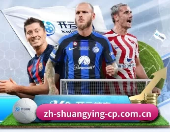 双赢彩票入口的故事